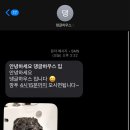 댕글하우스 이미지