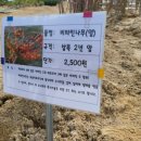 화천시장조합 이미지