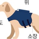하남숲동물병원