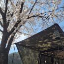 이마트24 영천강변공원점 | 벡스코 식품, 캠핑, 반려동물 박람회/ 주암계곡, 영천 곰들덤 공원 캠핑, 임고강변, 이마트 루메나)