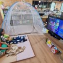 가족 뮤지컬 겁쟁이 빌리 이미지