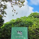 [대나무] 소풍바구니 만들기 | 용인 목장체험, 소젖짜기 치즈만들기 우유주기[농도원목장]