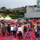 장미의거리1 이미지