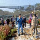 부산농장 이미지