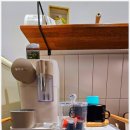 파란스테이 이미지