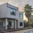 빈티지1950 | 제주 구좌 애견동반 숙소 가성비 제주도 애견동반 펜션 빈티지1950