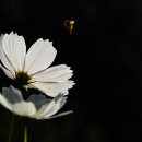 가을동화2 이미지