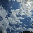 대륜공인중개사사무소 이미지