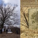 순종대왕 태실 화소비 이미지