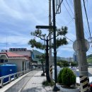 옥성칼국수 이미지