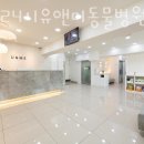 유앤미동물병원 네이버블로그