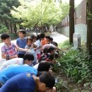 상도초등학교 이미지