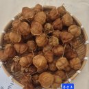 열매이야기 이미지