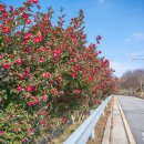 석정목장 이미지