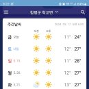 금조명 이미지