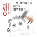 시엘컴퍼니