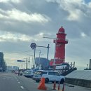 엑셀 초보지만 괜찮아 | 장롱면허 유어파일럿 운전연수 내돈내산 후기_안양의왕군포산본 운전연수