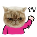 군침돌개 이미지