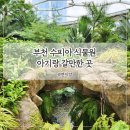 수피아돌 | 부천 수피아 식물원 돌아기랑 방문 후기 유모차 반입 할인 정보