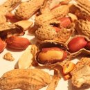 땅콩이네 이미지