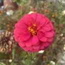 황간면사무소 | 반야사 템플스테이🙇‍♀️