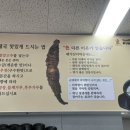 태기산더덕순대 - 양주시 | [아산] 기사님들의 픽 신정호 근처맛집 : 태기산더덕순대 아산온양점 후기