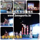 국가대표 라이온 태권도장 이미지