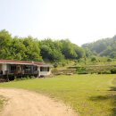 동산잔디 이미지
