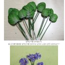 상상플라워 이미지