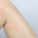 동화케미칼 | 바르셀로나 마드리드 여행 가볼만한곳 1월 2월 날씨 필수품 후기