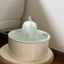 선인장 | 내돈내산 고양이 정수기 추천! 5년 가까이 사용중인 선인장 정수기 후기