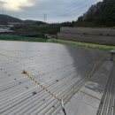 윤승현행정사사무소 이미지