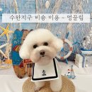 멍끌림 이미지