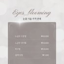 눈꽃피다 | 남천동 속눈썹펌 잘하는 곳 [눈꽃] 노글루펌 후기