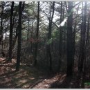 유락농장 이미지