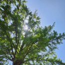 성사영묘 이미지