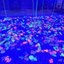 점핑몬스터 지축점 이미지