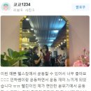 소녀감성핏일산 이미지