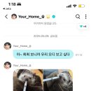 오디디엠 이미지