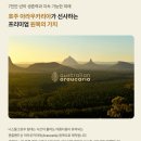 니스툴그로우 캠퍼 하이벙커 이층침대 내돈내산 후기