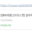 플랙스캣 이미지