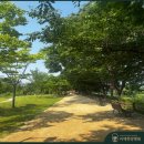 남양주나무요양병원 이미지