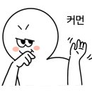 레지나영어