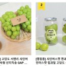 팜앤리