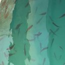 부산 자갈치 시장 일상의 하루 이미지