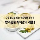 결혼상담 관리사 2급 | [수강신청] 7월 반려동물 식이관리사 2급 / 자격증 과정 /월요일 또는 화요일반 신청중