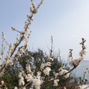 첼레스떼펜션