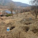 동학농장 이미지