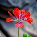 불광마트