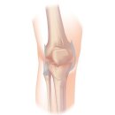 동행한의원 이미지